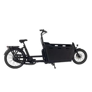 2 Wheel Cargo E Bike Family-Friendly Cargo Bicycle with Electric Assist