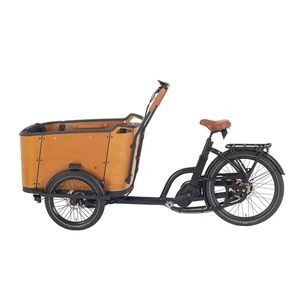 Electric Cargo Bike for Carrying Kids and Pets with CE