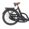 Electric Cargo Bike for Carrying Kids and Pets with CE
