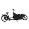 250W Pedal-Assist Family Bike OEM Cargo Bicycle 2 Wheel Ecargo Bike
