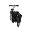 250W Pedal-Assist Family Bike OEM Cargo Bicycle 2 Wheel Ecargo Bike