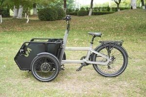 ODM Cargo E Bike with a Low Centre of Gravity and a Reliable Suspension System