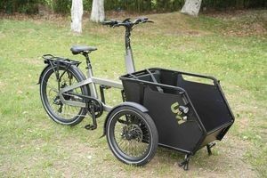 Comfortable Ride Ebike Electric Cargobike with En15194 Good Price