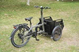 High Quality Electric Cargobike Trike CE Approved 200-250W Stable Low Centre