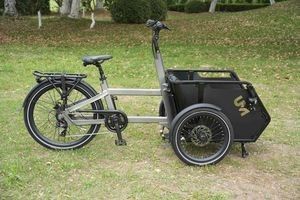 Al6061 Ebike Electric Bike Cargobike ISO Approved Performance