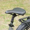 Al6061 Ebike Electric Bike Cargobike ISO Approved Performance