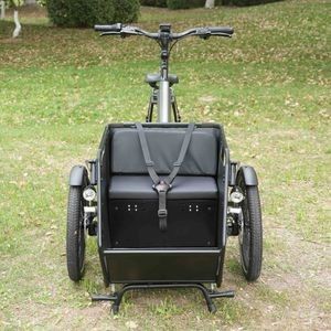 High Performance Brushless Ebike Trike Low Centre Bike Comfortable Ride with En15194
