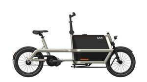 Energy-Efficient Cargo E Bike with Long-Lasting Performance