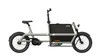 Energy-Efficient Cargo E Bike with Long-Lasting Performance
