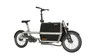 Energy-Efficient Cargo E Bike with Long-Lasting Performance