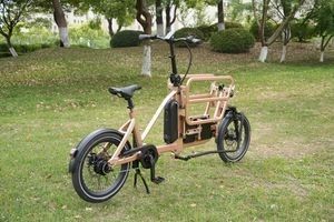 Innovative Cargo E Bike with Storage Optimized Foldable Frame Design