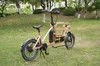 Innovative Cargo E Bike with Storage Optimized Foldable Frame Design