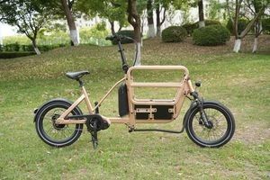 Powerful Cargo E Bike with Ananda MID Drive Motor and High Torque