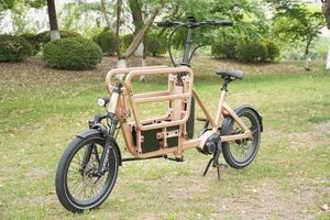 En15194 Compliant Cargo Bike with Aerospace Grade Aluminum Frame and Build
