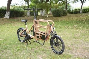 Compact Cargo E Bike with Foldable Front Frame for Easy Storage