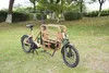 Compact Cargo E Bike with Foldable Front Frame for Easy Storage