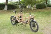 Robust Cargo E Bike with Dual Hydraulic Disc Brakes for Safety