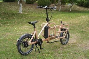 Efficient Cargo E Bike with Karasawa Automatic Internal Gear System