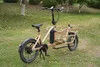 Efficient Cargo E Bike with Karasawa Automatic Internal Gear System