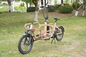 Versatile Cargo E Bike with 3 Speed Gear Hub for Urban Commutes