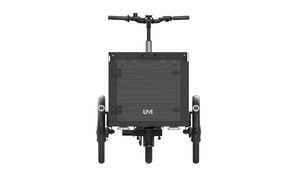 Family-Friendly Trike E-Bike for Urban Mobility and Cargo Hauling