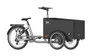 High-Capacity E-Bike Cargo with Aikema Hub Motor and 7-Speed Gear System