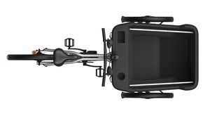 Practical Cargo E-Bike for Family Outings and Storage