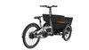 Practical Cargo E-Bike for Family Outings and Storage