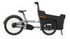 Practical Cargo E-Bike for Family Outings and Storage