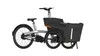 Practical Cargo E-Bike for Family Outings and Storage
