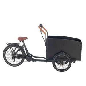 E Cargo Bike for Carrying Kids 20/26 Inch Electric Cargo Bicycle with Large-Capacity