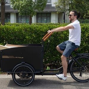 New 250W 25km/H Entry-Level Heavy-Duty Reliable Durable Steel Frame Cargo Bike Starter