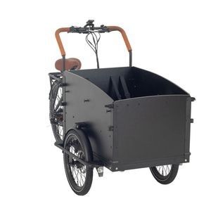 3 Wheel Cargo Bike with Heavy-Duty Box for Carrying Kids and Packages