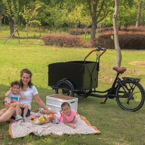 Entry-Level Cargo E Bike for Starter with 300kg Load Front Box