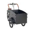 Entry-Level Cargo E Bike for Starter with 300kg Load Front Box
