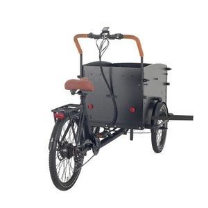 3 Wheel E-Cargo Bike with Steel Box for Family and Dog-Friendly Transportation