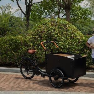Electric Cargo Bike with Safe Box for Kids, Pets, and Food Delivery