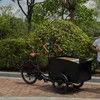 Electric Cargo Bike with Safe Box for Kids, Pets, and Food Delivery