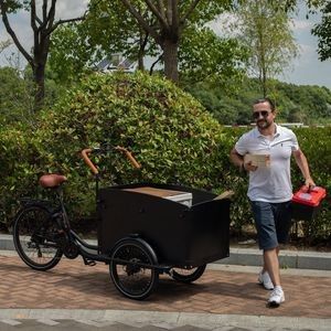Family-Friendly Electric Cargo Bike for Pets and Deliveries