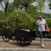 Family-Friendly Electric Cargo Bike for Pets and Deliveries