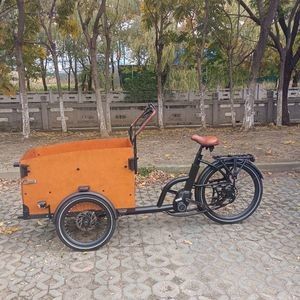 Weather-Resistant Electric Cargo Bicycle with Fully Enclosed Sunshade