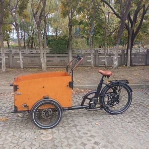 Customisable Electric Cargo Bicycle with Personal Canopies for Protection