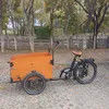 Customisable Electric Cargo Bicycle with Personal Canopies for Protection