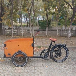 Safety-Equipped Electric Cargo Bicycle with Handrails and Safety Belts