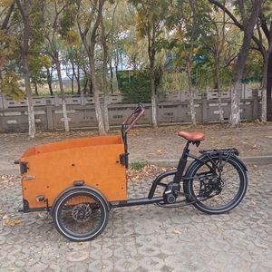 Electric Cargo Bike Designed for Varied Terrain Adventures