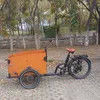 Electric Cargo Bike Designed for Varied Terrain Adventures