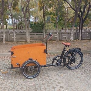 Family-Friendly Electric Cargo Bicycle with Child Safety Seats