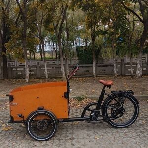 Customizable Electric Cargo Bike with Versatile Accessory Options