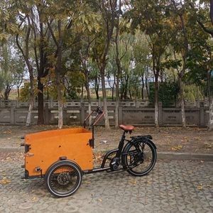 Family-Friendly Durable Cargo E-Bike with Soft Cushions and Safety Belts