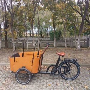 Family-Friendly Electric Cargo Bike with Torque Sensor Technology